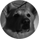 Iván profile picture